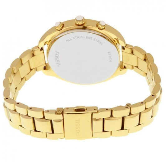 Fossil Watch For Women CH2976